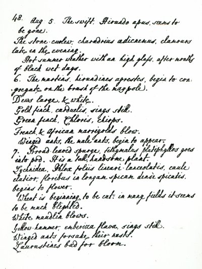 A page from the diary of Rev. James Woodforde by English School